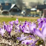 Appartement Owca Za Plotem Witów