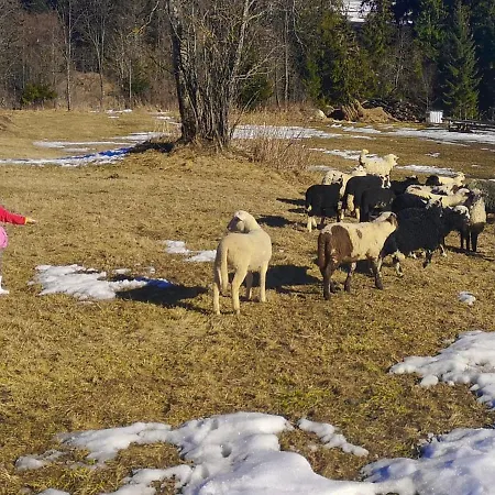 Lejlighed Owca Za Plotem