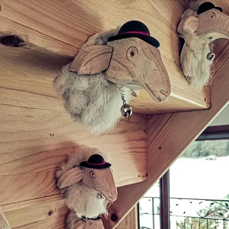 Owca Za Plotem * Witow (Tatra)