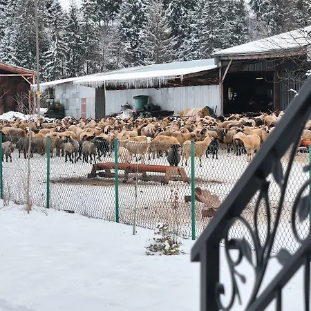 Owca Za Płotem Apartament *