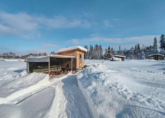 Owca Za Plotem Apartman Witów