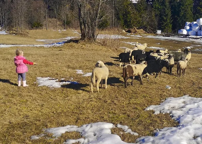 Apartament Owca Za Płotem