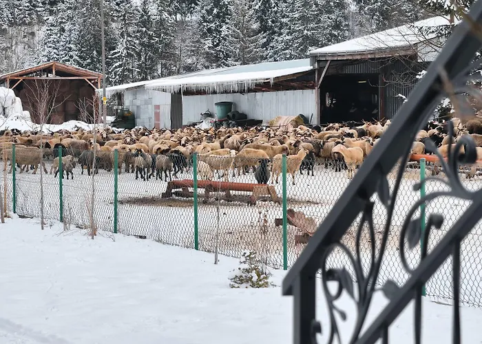 Owca Za Płotem Apartament *